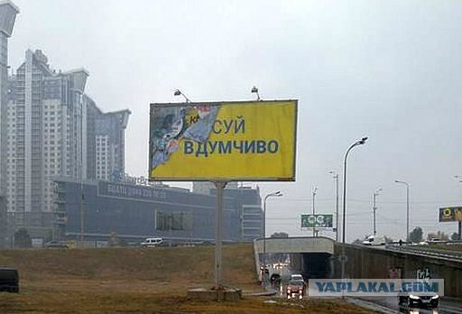 Подборка картинок из сети