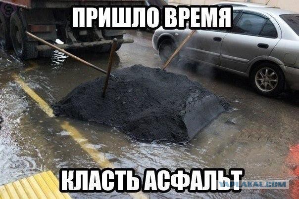 Веселые и забавные картинки