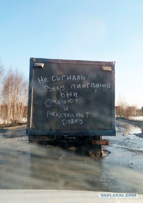 Чисто русские надписи