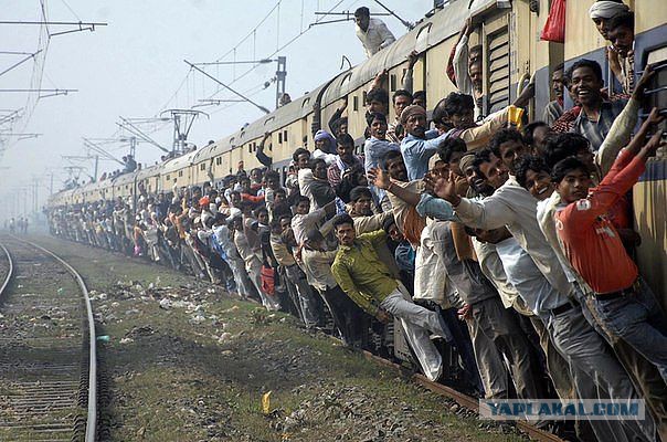 Везут же люди!