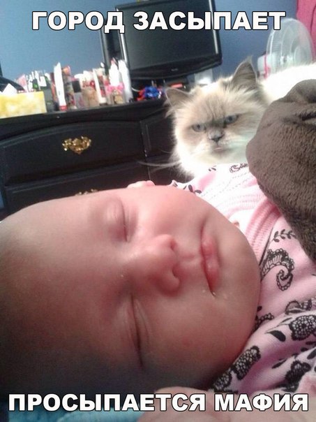 Подборка интересных и веселых фото