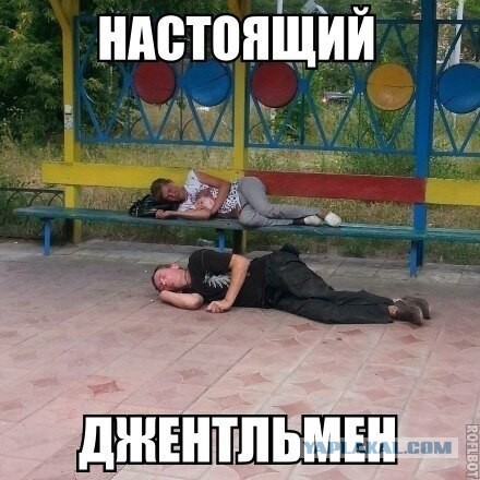Подборка интересных и веселых картинок