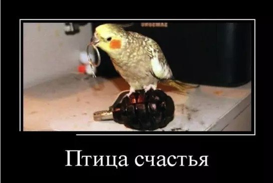 Картинки всякие