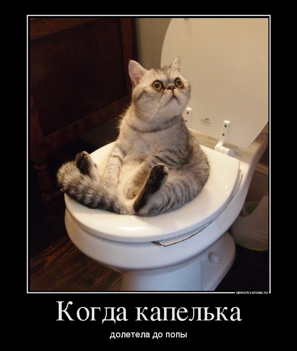 Картинки на пятницу