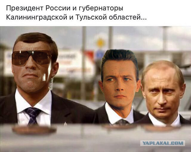 Когда у власти профессионалы