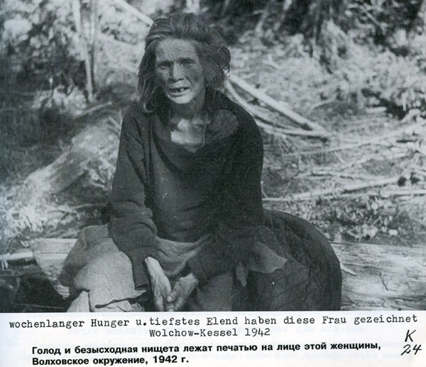 Волховский фронт. 1942. Взгляд с той стороны.
