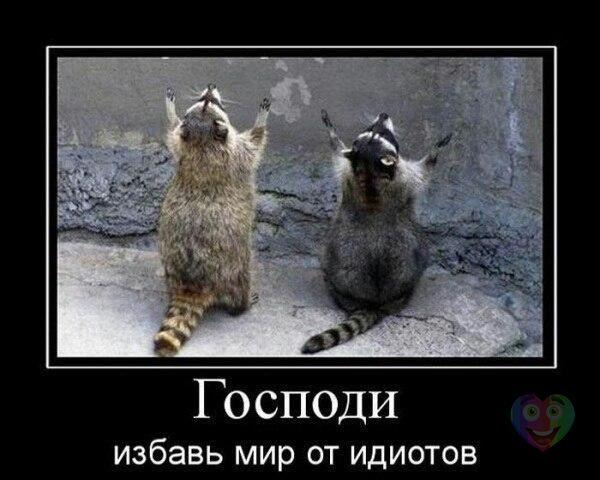 Естественный отбор в действии