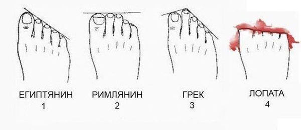 Юмор не для всех