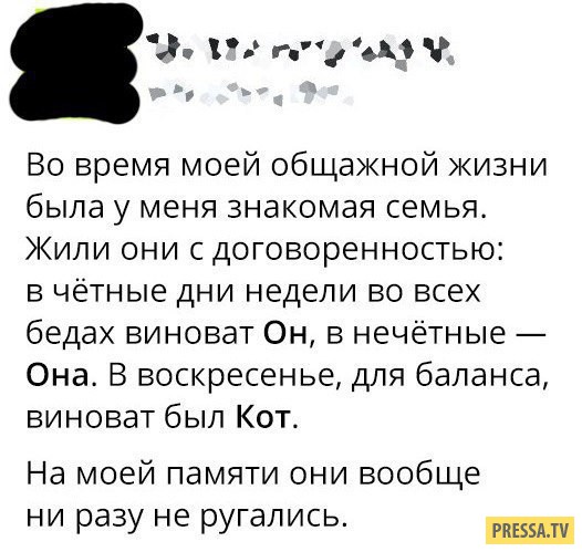 Все друг друга поняли (Смехопанорама)