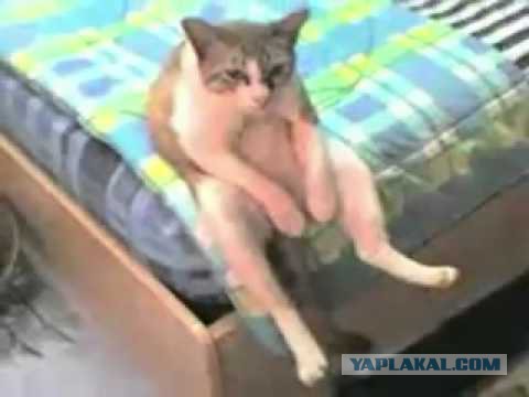 Искусство пофигизма: люди, которым плевать на обстоятельства