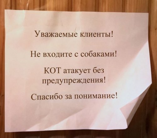 Картинки разнобезобразные, юмор спецефический