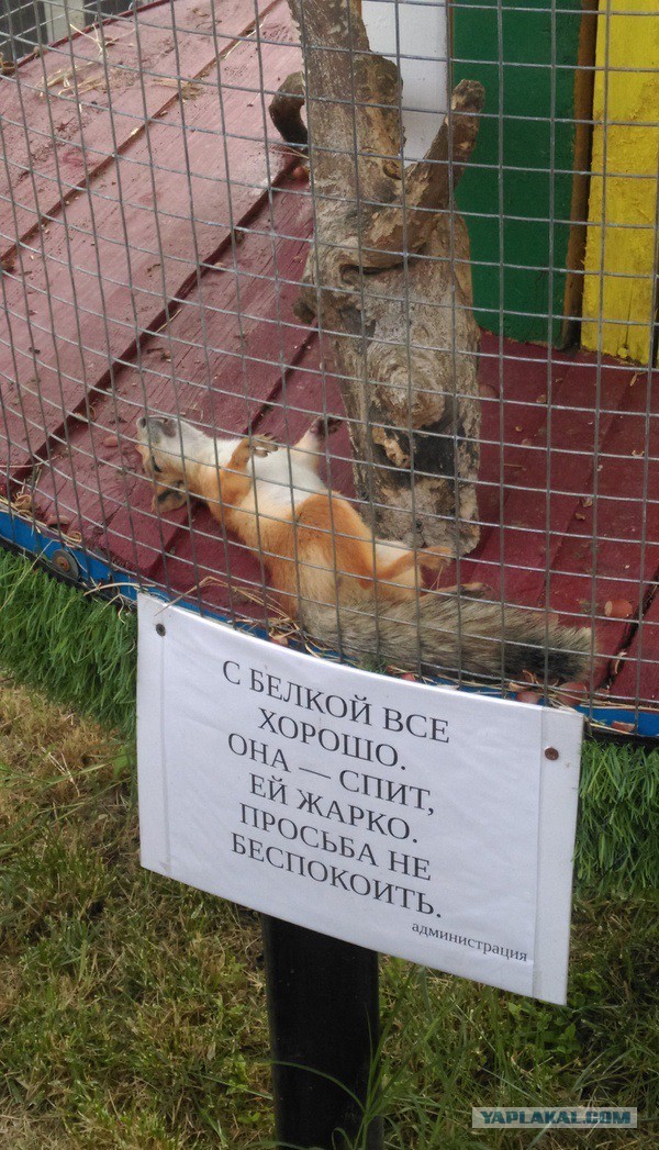 Странный Юмор