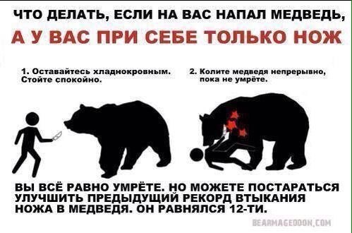 Можно ли убежать от медведя?