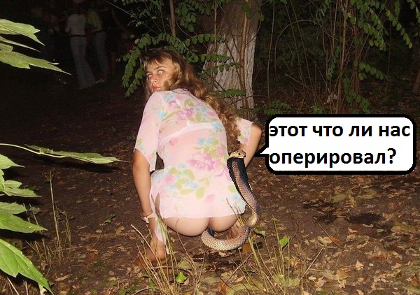 Срань космонавтов