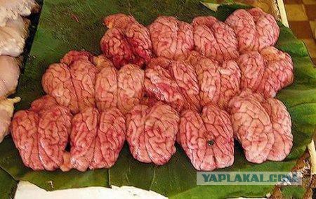 Национальные деликатесы, кажущиеся несъедобными