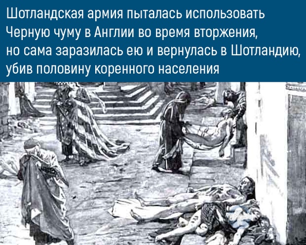 Подборка интересных и веселых картинок