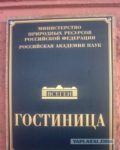 Небольшая подборка самых диких и забавных петербургских вывесок