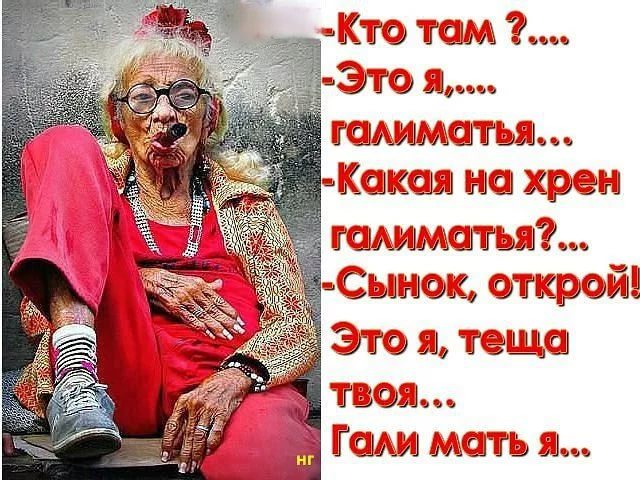 Смешные случаи с тёщами, показывающие почему про них так много анекдотов