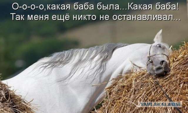 Нет сил ждать субботы? Ну тогда вот - Колхозный гламур!