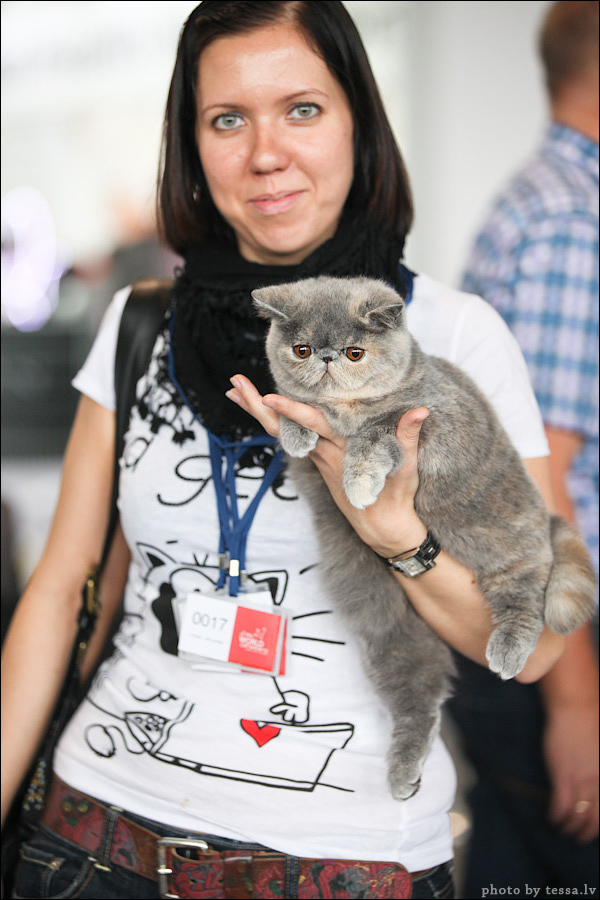 Котовторник! 08.11.11