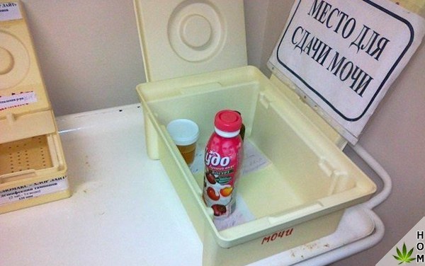 WTF: что тут происходит?