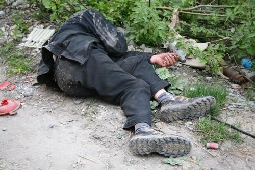 Скотсети и прочие интернеты 04.03.19