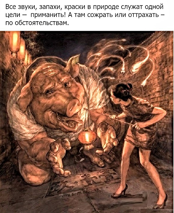 Картинки с надписями и анекдоты