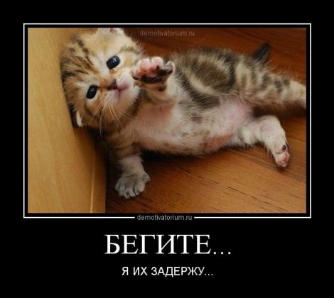 Кого звать, если...