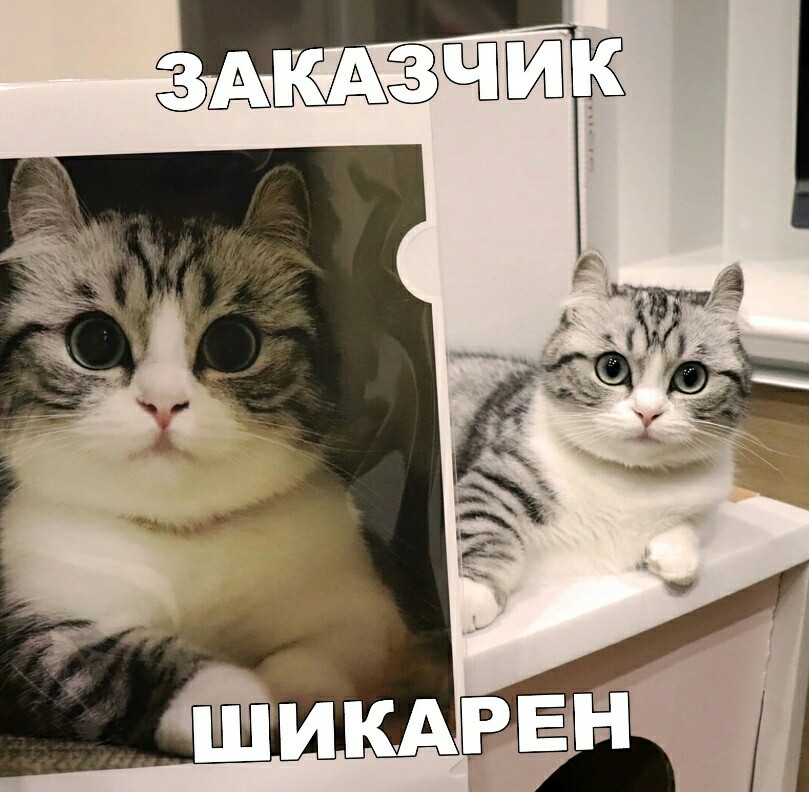 13433715.jpg