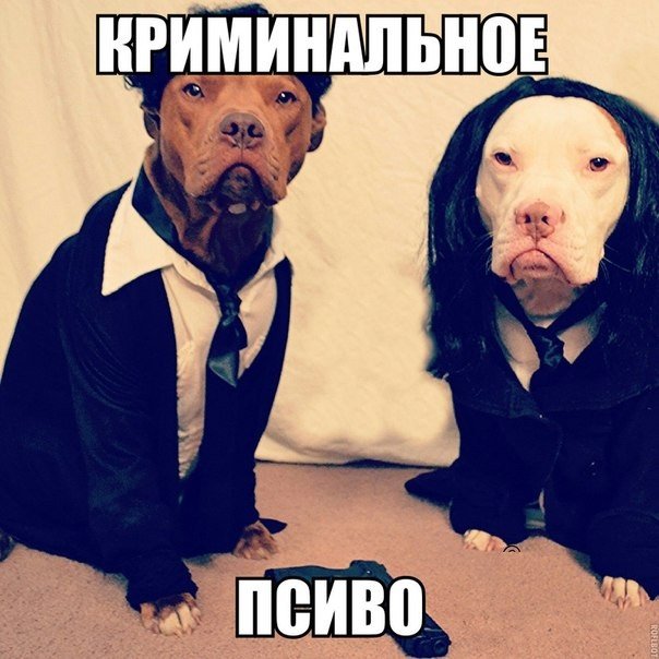 Древние мемы с ВК. Для тех кто забыл #7