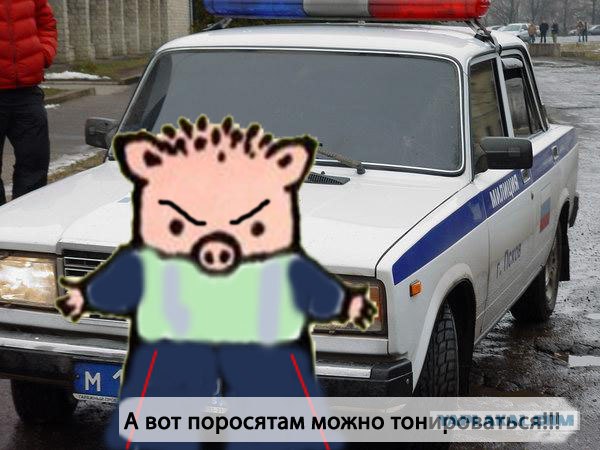 Фотожаба: Поросенок Пётр
