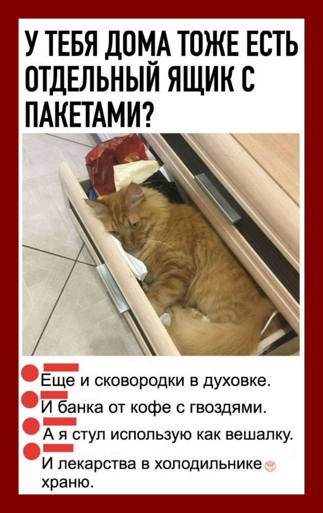 Веселые истории о нас №181