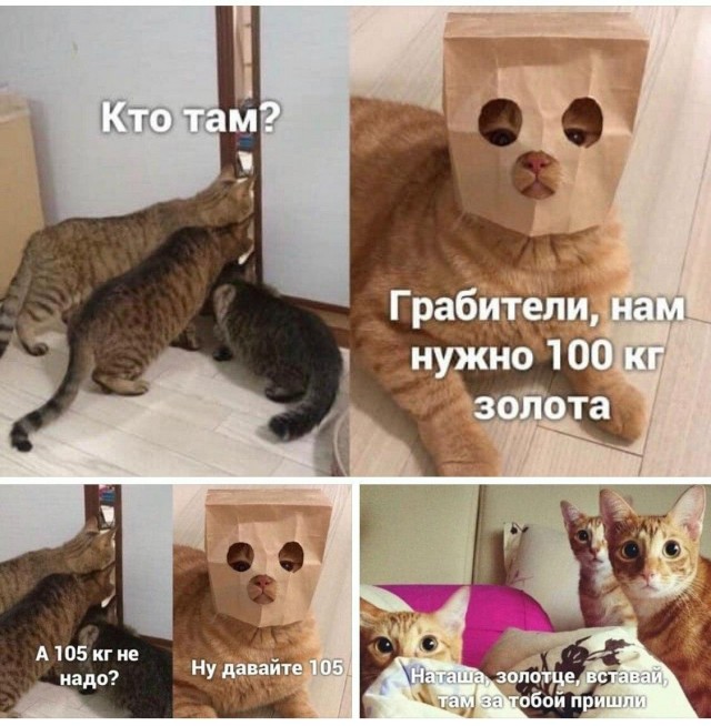 Мемы про Наташу