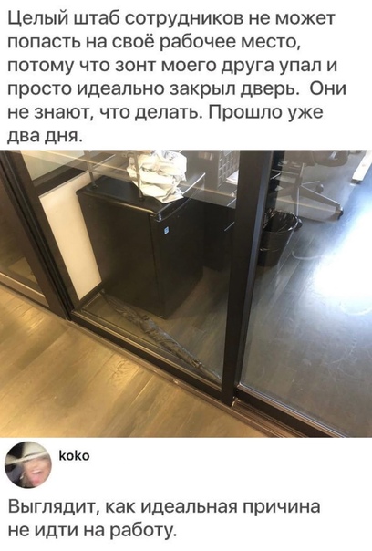 Картинки и мемы для настроения 018