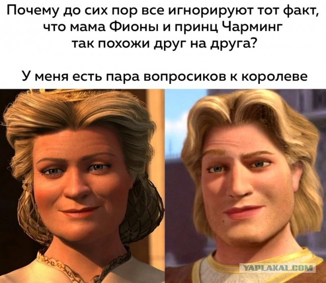 Весёлый полтишок 6.03