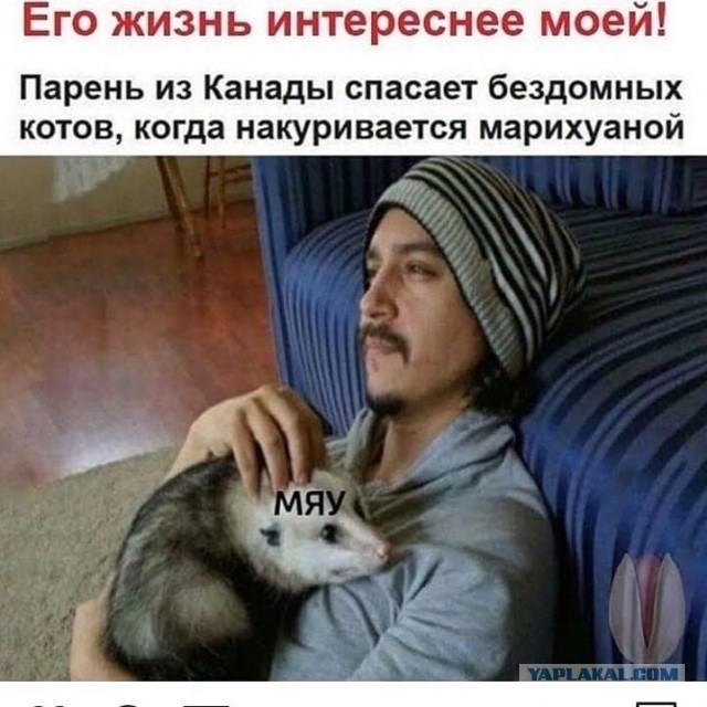 Весёлый полтишок 5.04