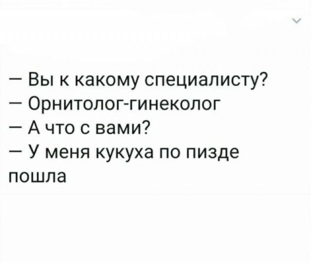 Картинки-баяны-бабаяны 01.09.2021