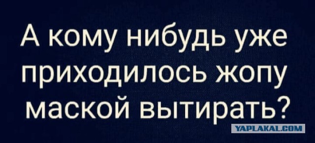 Весёлый полтишок 29.10