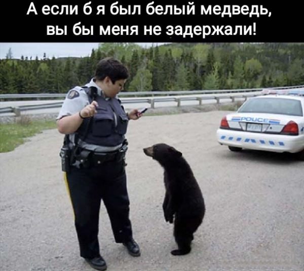 Юмор и прикольные картинки 11.11.2021