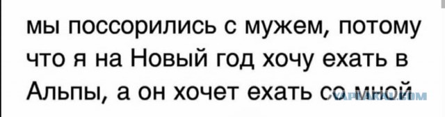 Забавные и веселые картинки