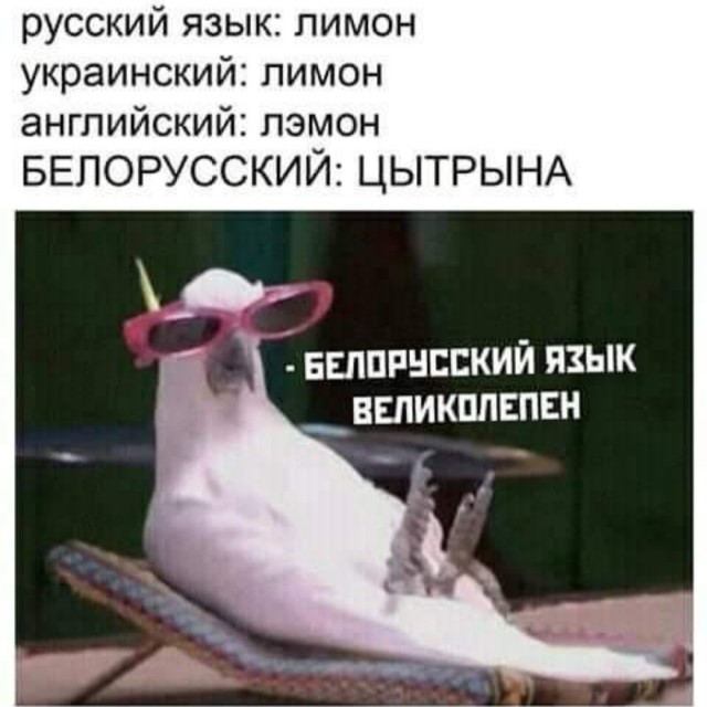 Так себе картинки 05.07.22
