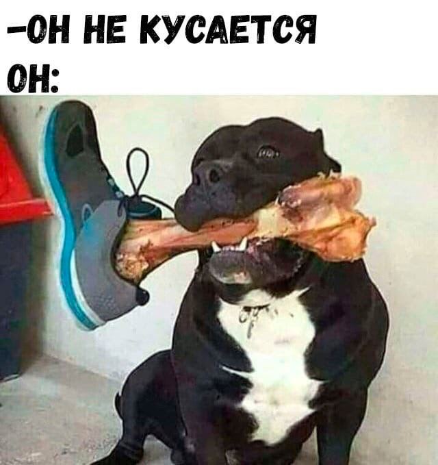 50 оттенков серого если самосвал баянов. Vol.21