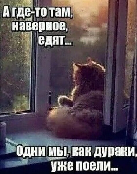 Юмор в картинках и без 27.11.2022