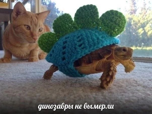 Готовим как соседи