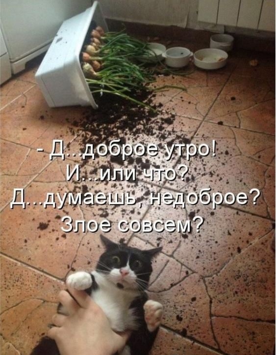 Так себе картинки 30.03.23