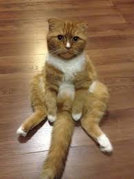 Познакомлюсь с умной девушкой