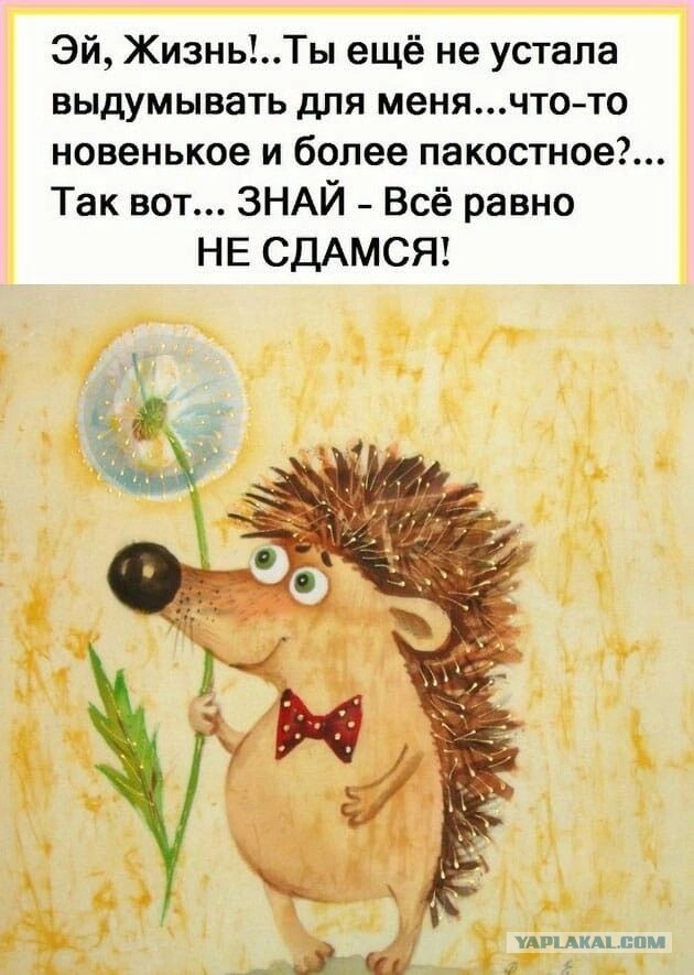Женился на девственнице и пожалел!