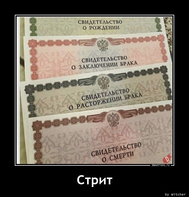 Так себе картинки 12.08.23