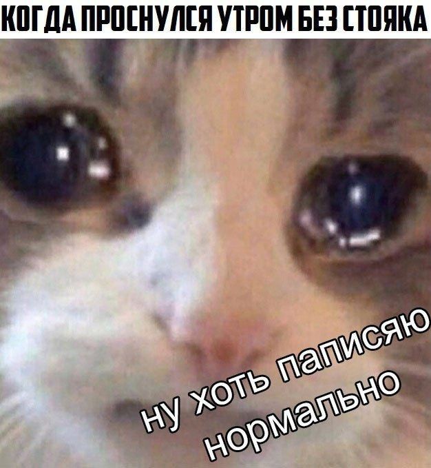 Немного пошлых картинок 29.09.23
