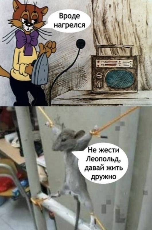 Весёлый полтишок 01.11.23